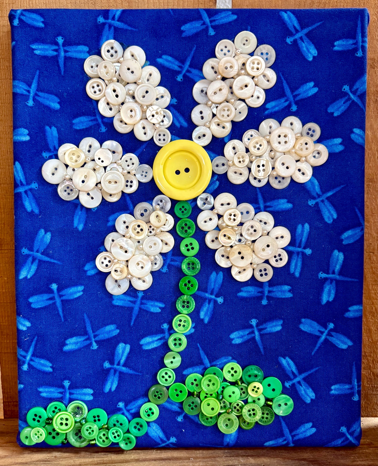 Button Daisy on Dragonfly