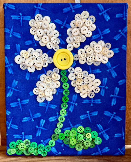 Button Daisy on Dragonfly