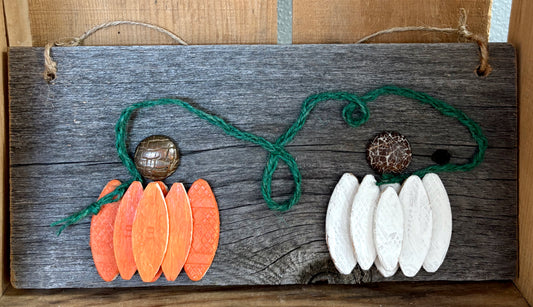 Pumpkins White and Orange