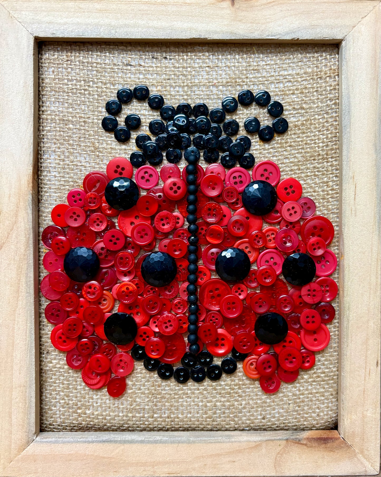 Button Ladybug
