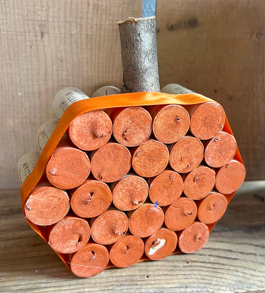 Cork Pumpkin